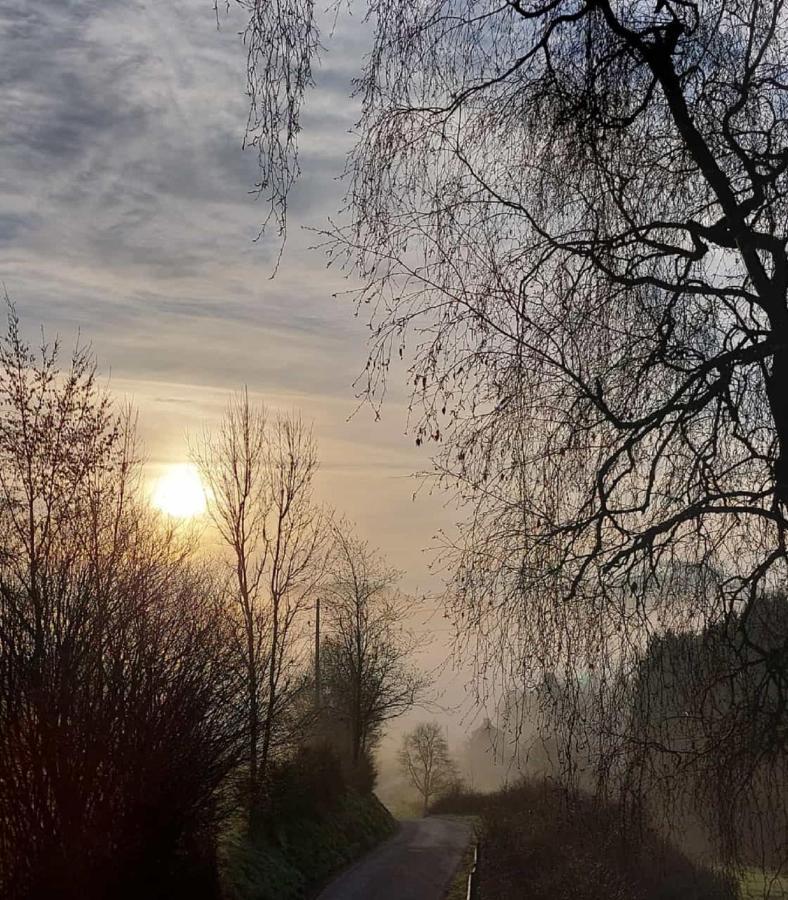 Ferienwohnung Im Hambach Bad Berleburg Exteriör bild